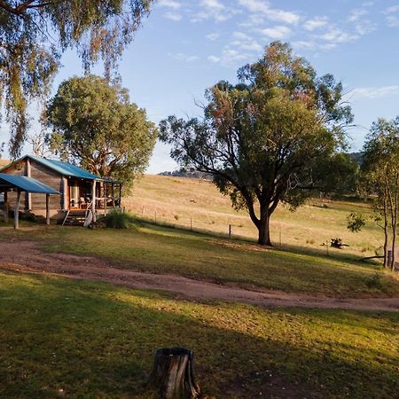 Gaddleen Grove Cottages Wodonga Εξωτερικό φωτογραφία